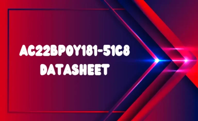 AC22bp0y181-51c8 Datasheet Detailed Overview
