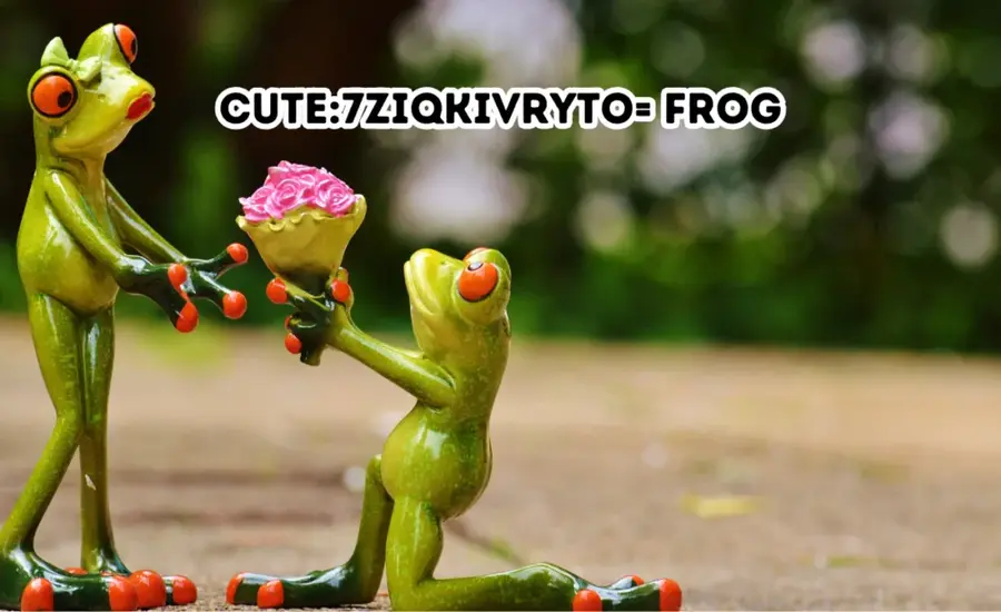 Know Everything About Cute7ziqkivryto= Frog